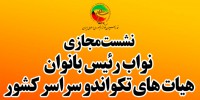 نشست مجازی نواب رییس بانوان هیات‌های تکواندو کشور